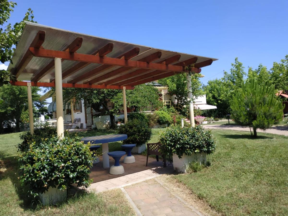 La Casa Al Mare Di Luca Apartment Bellaria-Igea Marina Bagian luar foto